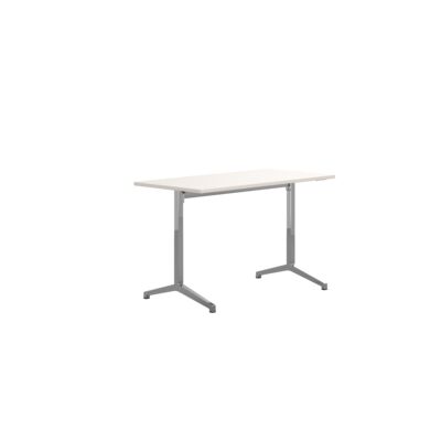 Lammhults_Archal_T_table_H730_1200x600_polished_white_frontangle .png